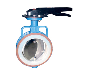 PTFE Lined Butterfly Valve