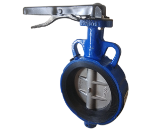 Rubber Lined Butterfly Valve