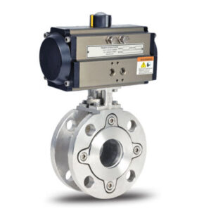 Wafer Type Floating Ball Valve